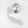 120620266a2bd4d05cddd.jpeg Cata CT-5325G 36W Alya Cob Led Ray Spot Armatür 3200K Günışığı