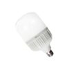 ACK AA13-04020 40W E27 3000K Günışığı LED T120 Ampul
