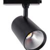 300620266a43f057f1e61.jpeg ACK AD30-01531 30W 6500K Beyaz LED Ray Spot Armatür Siyah